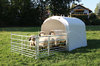 Großraumhütte für Schafe mit Anschlusset